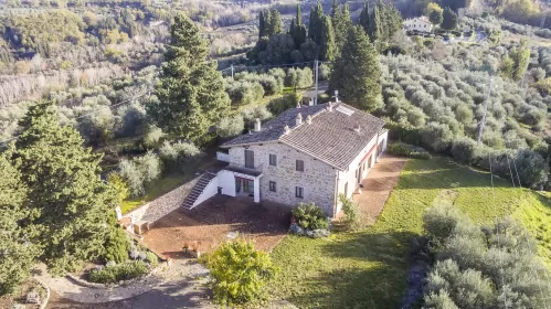 FONTEVIVA