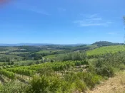FONTEVIVA