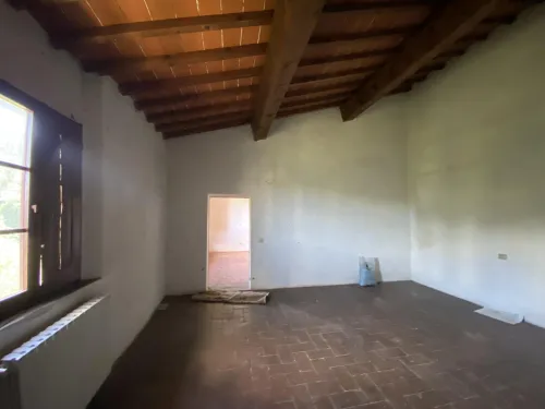 TAROCCHI