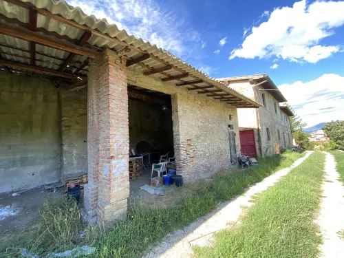TAROCCHI
