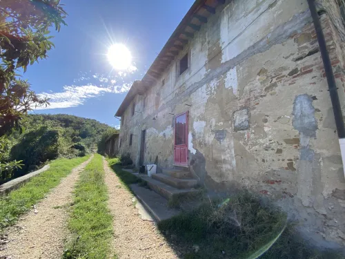 TAROCCHI
