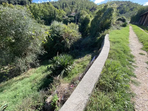 TAROCCHI