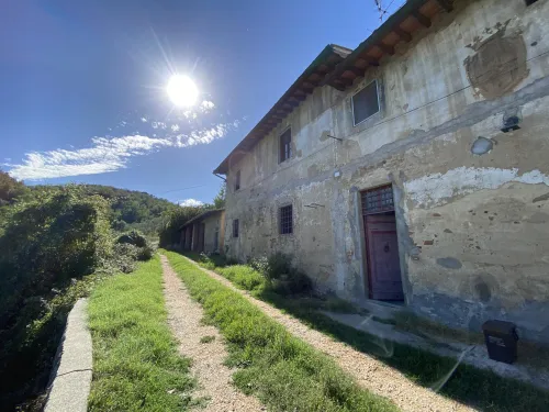 TAROCCHI