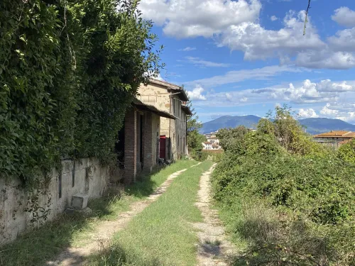 TAROCCHI
