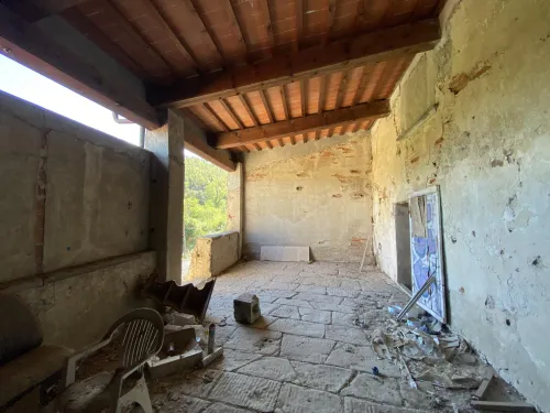 TAROCCHI