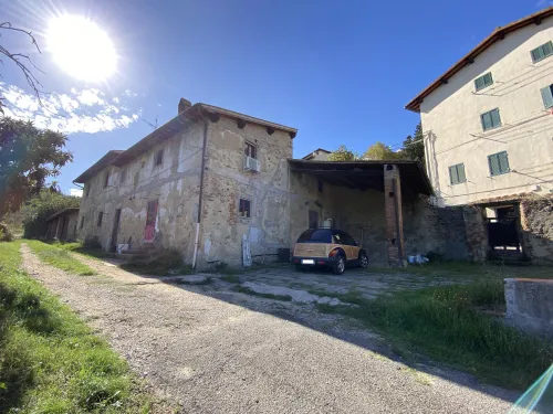 TAROCCHI
