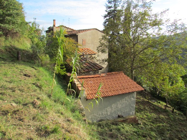 ALLEGRIA