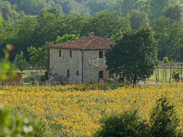 MOLINO DEI BOSSI