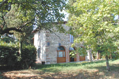 TORRICELLA