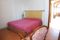 TORRICELLA