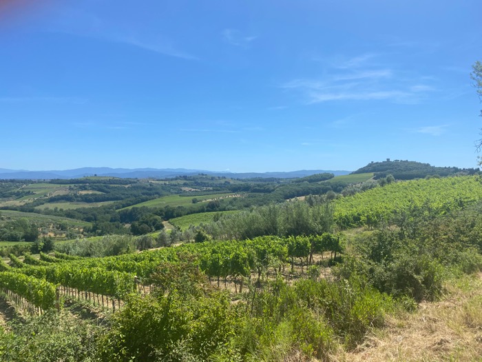 FONTEVIVA