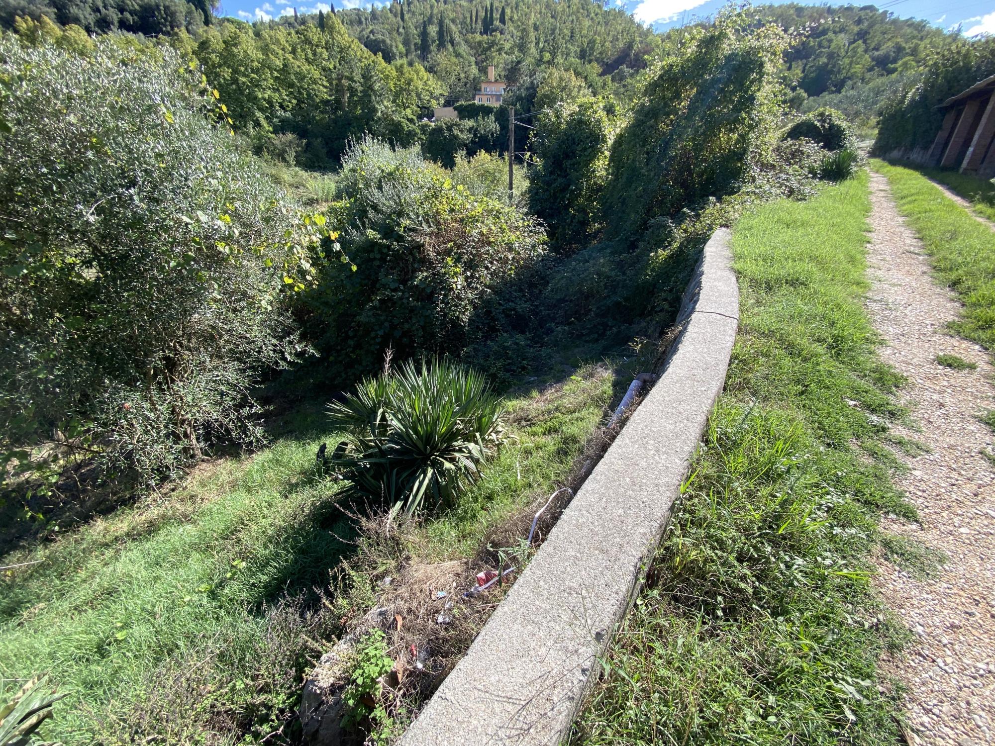 TAROCCHI